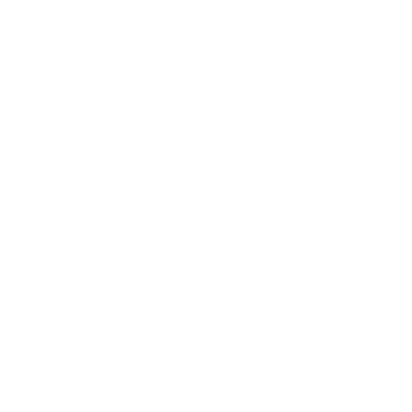 Keeping You Secure Icon