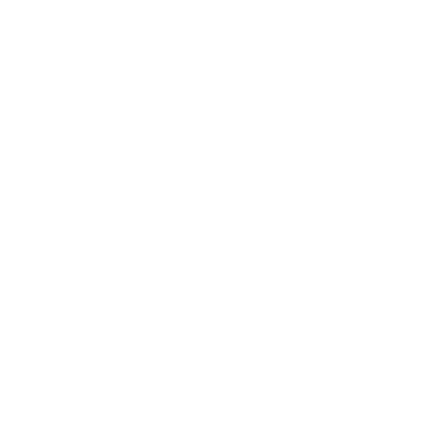 Safe Deposit Box Icon